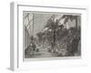 The Colonial and Indian Exhibition, the Fernery in the New Zealand Court-null-Framed Giclee Print