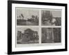 The Colonial and Indian Exhibition, the Indian Empire-null-Framed Giclee Print