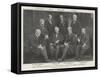 The Colonial Delegates to the Imperial Court of Appeal Conference-null-Framed Stretched Canvas