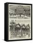 The Colonial Exhibition, India-null-Framed Stretched Canvas