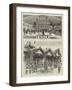 The Colonial Exhibition, India-null-Framed Giclee Print