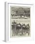 The Colonial Exhibition, India-null-Framed Giclee Print