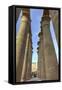 The Colonnade of Amenhotep Iii, Luxor Temple, Luxor, Thebes, Egypt, North Africa, Africa-Richard Maschmeyer-Framed Stretched Canvas