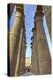 The Colonnade of Amenhotep Iii, Luxor Temple, Luxor, Thebes, Egypt, North Africa, Africa-Richard Maschmeyer-Stretched Canvas