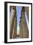 The Colonnade of Amenhotep Iii, Luxor Temple, Luxor, Thebes, Egypt, North Africa, Africa-Richard Maschmeyer-Framed Photographic Print