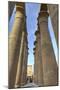 The Colonnade of Amenhotep Iii, Luxor Temple, Luxor, Thebes, Egypt, North Africa, Africa-Richard Maschmeyer-Mounted Photographic Print