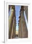 The Colonnade of Amenhotep Iii, Luxor Temple, Luxor, Thebes, Egypt, North Africa, Africa-Richard Maschmeyer-Framed Photographic Print