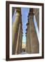 The Colonnade of Amenhotep Iii, Luxor Temple, Luxor, Thebes, Egypt, North Africa, Africa-Richard Maschmeyer-Framed Photographic Print