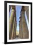 The Colonnade of Amenhotep Iii, Luxor Temple, Luxor, Thebes, Egypt, North Africa, Africa-Richard Maschmeyer-Framed Photographic Print