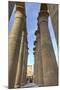 The Colonnade of Amenhotep Iii, Luxor Temple, Luxor, Thebes, Egypt, North Africa, Africa-Richard Maschmeyer-Mounted Photographic Print