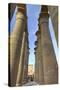 The Colonnade of Amenhotep Iii, Luxor Temple, Luxor, Thebes, Egypt, North Africa, Africa-Richard Maschmeyer-Stretched Canvas