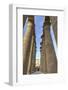 The Colonnade of Amenhotep Iii, Luxor Temple, Luxor, Thebes, Egypt, North Africa, Africa-Richard Maschmeyer-Framed Photographic Print