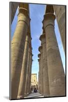 The Colonnade of Amenhotep Iii, Luxor Temple, Luxor, Thebes, Egypt, North Africa, Africa-Richard Maschmeyer-Mounted Photographic Print