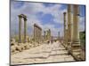 The Colonnaded Street, Cardo Maximus, in the Roman Ruins, Jerash, Jordan-Michael Short-Mounted Photographic Print