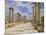 The Colonnaded Street, Cardo Maximus, in the Roman Ruins, Jerash, Jordan-Michael Short-Mounted Photographic Print