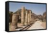 The Colonnaded Street, Dating from About 106 Ad, Petra, Jordan, Middle East-Richard Maschmeyer-Framed Stretched Canvas