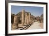 The Colonnaded Street, Dating from About 106 Ad, Petra, Jordan, Middle East-Richard Maschmeyer-Framed Photographic Print