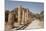 The Colonnaded Street, Dating from About 106 Ad, Petra, Jordan, Middle East-Richard Maschmeyer-Mounted Photographic Print