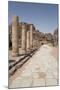 The Colonnaded Street, Dating from About 106 Ad, Petra, Jordan, Middle East-Richard Maschmeyer-Mounted Photographic Print