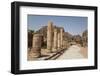 The Colonnaded Street, Dating from About 106 Ad, Petra, Jordan, Middle East-Richard Maschmeyer-Framed Photographic Print