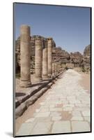 The Colonnaded Street, Dating from About 106 Ad, Petra, Jordan, Middle East-Richard Maschmeyer-Mounted Photographic Print