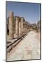 The Colonnaded Street, Dating from About 106 Ad, Petra, Jordan, Middle East-Richard Maschmeyer-Mounted Photographic Print