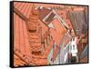 The Color of These Roofs...-Andreas Feldtkeller-Framed Stretched Canvas