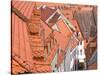 The Color of These Roofs...-Andreas Feldtkeller-Stretched Canvas