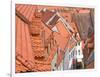 The Color of These Roofs...-Andreas Feldtkeller-Framed Photographic Print