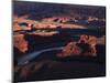 The Colorado River Makes a Huge S-Bend Under Deadhorse Point, Utah-David Pickford-Mounted Photographic Print
