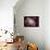 The Colorful Demise of a Sun-like Star Space Photo-null-Framed Poster displayed on a wall