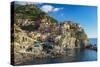 The Colorful Village of Manarola, Cinque Terre, Liguria, Italy-Stefano Politi Markovina-Stretched Canvas