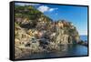 The Colorful Village of Manarola, Cinque Terre, Liguria, Italy-Stefano Politi Markovina-Framed Stretched Canvas