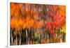 The colors melt-Marco Carmassi-Framed Photographic Print