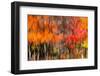 The colors melt-Marco Carmassi-Framed Photographic Print