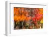 The colors melt-Marco Carmassi-Framed Photographic Print