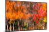 The colors melt-Marco Carmassi-Mounted Photographic Print