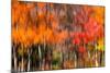 The colors melt-Marco Carmassi-Mounted Photographic Print