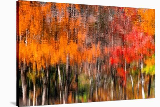 The colors melt-Marco Carmassi-Stretched Canvas