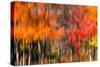 The colors melt-Marco Carmassi-Stretched Canvas