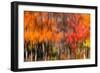 The colors melt-Marco Carmassi-Framed Photographic Print