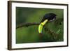 The Colors of Costa Rica-Fabio Ferretto-Framed Photographic Print