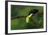 The Colors of Costa Rica-Fabio Ferretto-Framed Photographic Print