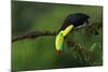 The Colors of Costa Rica-Fabio Ferretto-Mounted Photographic Print