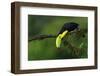 The Colors of Costa Rica-Fabio Ferretto-Framed Photographic Print