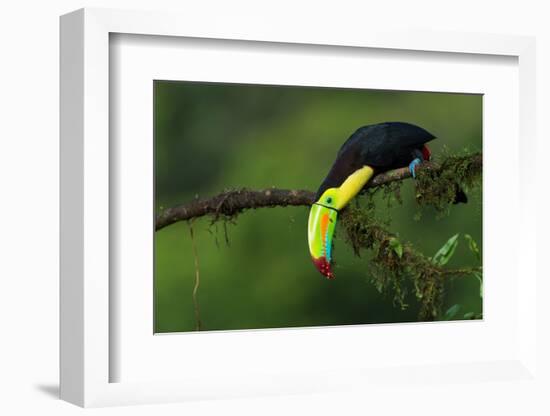 The Colors of Costa Rica-Fabio Ferretto-Framed Photographic Print