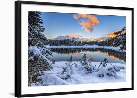 The colors of dawn on the snowy peaks and woods reflected in Malenco Valley Valtellina Lombardy Ita-ClickAlps-Framed Photographic Print