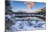 The colors of dawn on the snowy peaks and woods reflected in Malenco Valley Valtellina Lombardy Ita-ClickAlps-Mounted Photographic Print