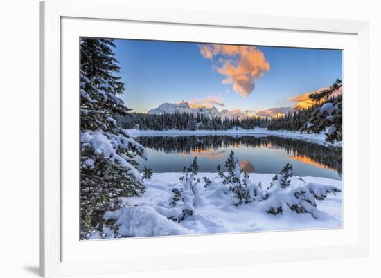 The colors of dawn on the snowy peaks and woods reflected in Malenco Valley Valtellina Lombardy Ita-ClickAlps-Framed Photographic Print