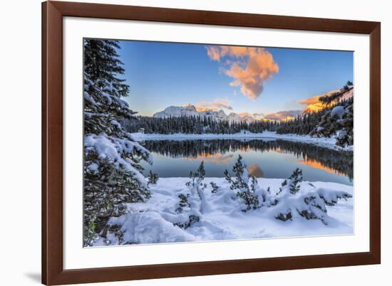 The colors of dawn on the snowy peaks and woods reflected in Malenco Valley Valtellina Lombardy Ita-ClickAlps-Framed Photographic Print